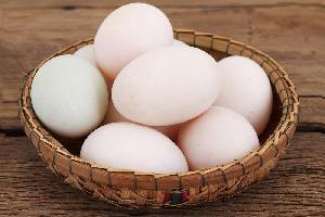 hatching duck egg