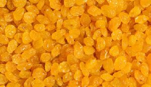 gold raisins