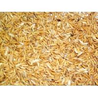 Basmati Seeds