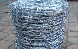 Galvanized Barbed Wire