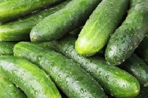 Fresh Cucumber