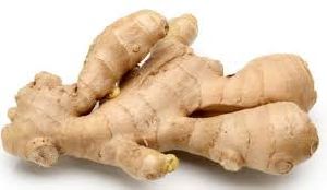 Fresh Ginger