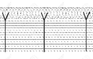 Barbed Wire Fencing
