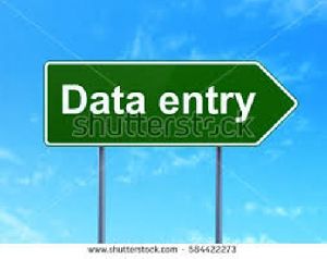 Data Entry Projects services