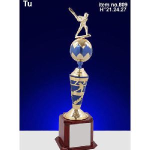 Designer Batsman Cricket Trophy