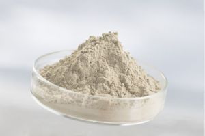 Bentonite Clay Powder