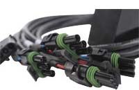 Automotive Wiring Harness