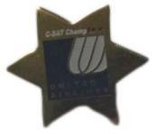 Brass Star Badges