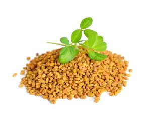 Fenugreek Seeds