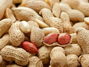 Shelled Groundnuts