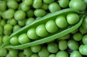 Fresh Green Peas