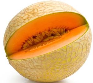 Fresh Muskmelon