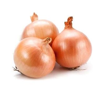 Fresh Onion