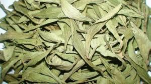 stevia leaves dried