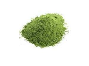 Stevia Powder