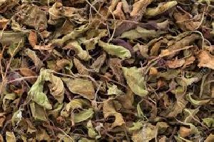 Tulsi Dry Leaves