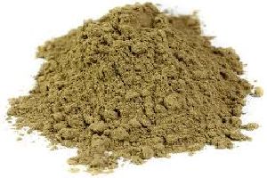 tulasi powder