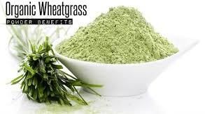 Wheat Grass Powder