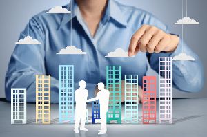 Building and Property Consultant