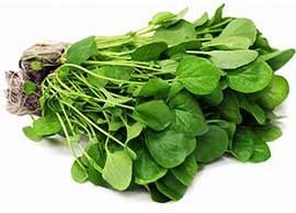 Fenugreek Leaf