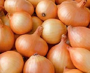 Fresh Brown Onion