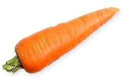 Fresh Carrot