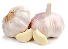 Fresh Garlic