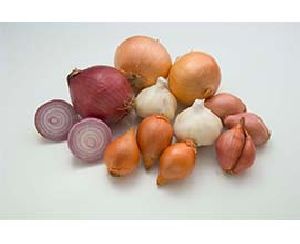 Fresh Mixed Onion