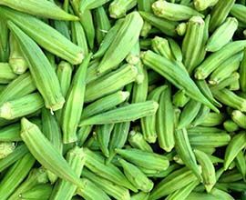 Fresh Okra