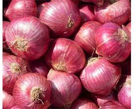 Fresh Red Onion