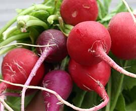 Fresh Red Radish