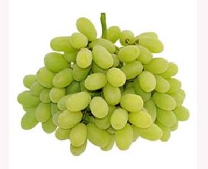 fresh seedless grapes