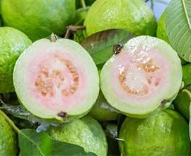 Guava