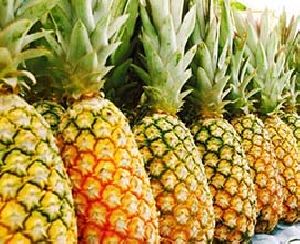 Fresh Pineapple