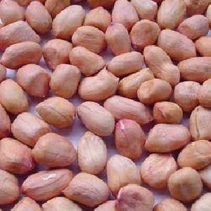 Groundnut Seeds