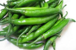 spicy green chilli