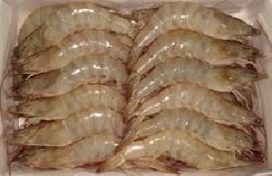 Frozen Prawns