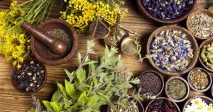 Medicinal herbs