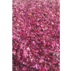 Pink Rose Petals