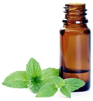 Peppermint Essential Oil