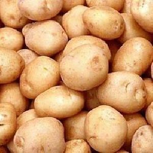 Badshah Potato