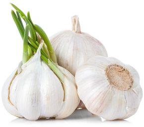 Fresh Garlic