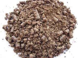 Groundnut Seed Meal