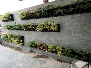 Green Walls