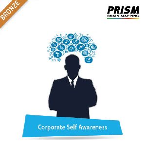Corporate Self Awareness - Bronze