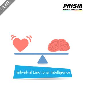 Silver Individual Emotional Intelligence services