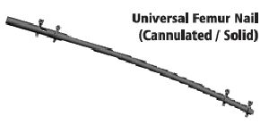 Universal Femur Intramedullary Nailing System