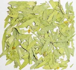 Dried Senna Leaves