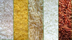 Rice Seed