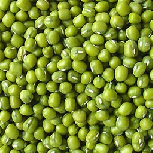 Green Mung Beans